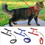 Adjustable Leash & Harness Set for Cats