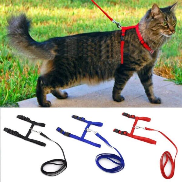 Adjustable Leash & Harness Set for Cats