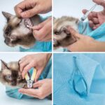 Buy-Multifunctional-Cat-Washing-Bag-Pet-Bathing-Nail-Trimming-Anti-Scratch-Bite-Restraint-Mesh-Cat-Grooming-In-Uganda-Spawtive
