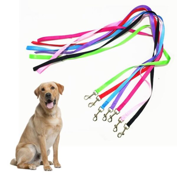 Buy-Puppy-Dog-Leash-Nylon-Pet-Strap-Rope-Small-Dogs-Uganda-Kampala-Spawtive