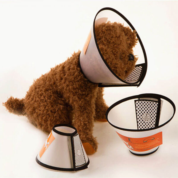 Buy Recovery Cone Collar for dog or cat in Uganda on spawtive veterinary