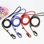 Spawtive P-Chain Training-Walking Leash