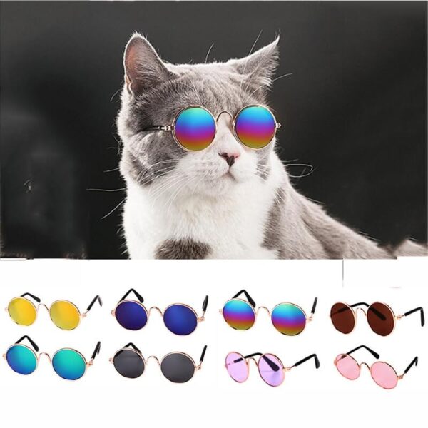 Buy-Pet-Cat-Dog-Sunglasses-For-Cats-Dogs-Eye-Wear-Snglasses-In-Uganda