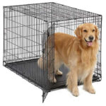 Buy Single Door Indoors Dog Crate in Uganda