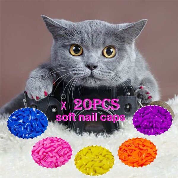 Choose different sizes of Anti-scratch Nail Caps for Dogs and Cats