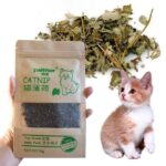 Natural-Premium-Catnip-For-Cat-Cattle-Grass-10g-Menthol-Flavor-In-Kampala-Uganda-On-Spawtive