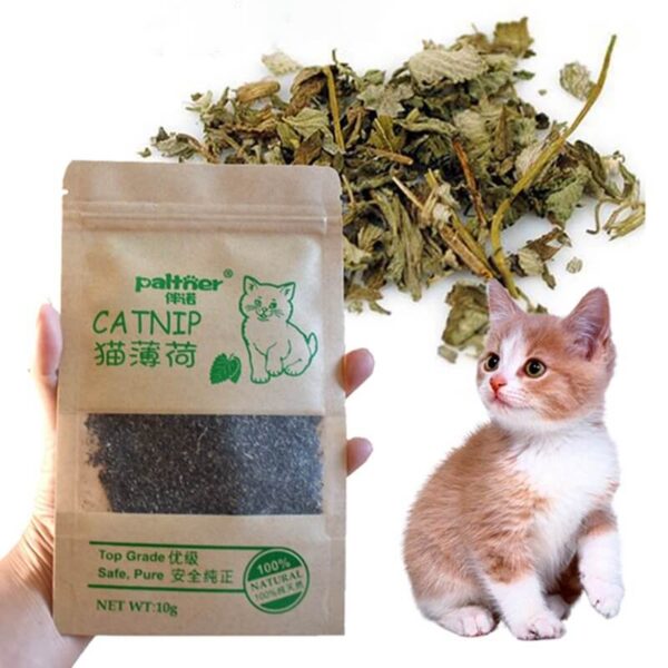 Natural-Premium-Catnip-For-Cat-Cattle-Grass-10g-Menthol-Flavor-In-Kampala-Uganda-On-Spawtive