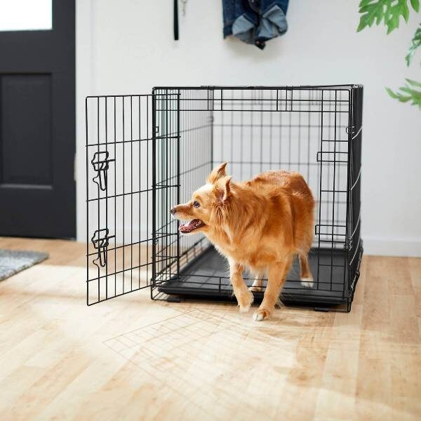 Buy Collapsible Indoors Dog Crate Kennel in Kampala Uganda