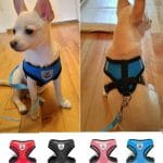 Best Small & Medium Breed Dog Harness +Free Leash in Uganda