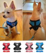 Best Small & Medium Breed Dog Harness +Free Leash in Uganda