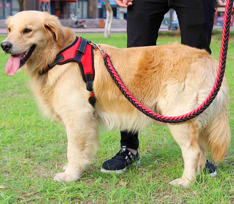 Petsasa red Strong Dog Leash and Harness Set