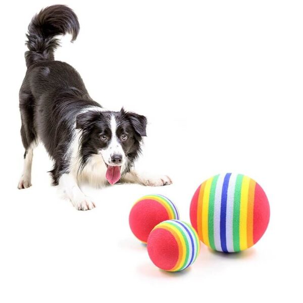Rainbow Rubber Ball Toy for Dogs and Cats in Uganda