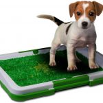 Buy Dog Toilet Potty Trainer Pad Holder