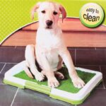 Buy 3 Layers' Dog Potty Pad Trainer in Uganda