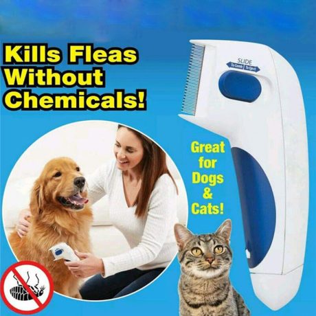 Flea Doctor Electronic Flea Comb for Dogs & Cats in Uganda