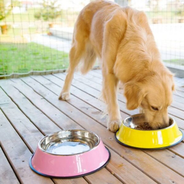 Buy Petsasa Large Dog Food and Water Bowl Plate in Uganda