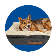 Buy Dog Beds and Furniture in Uganda on PetSasa