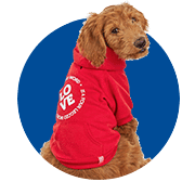 Buy Dog Clothing Shoes and Apparel in Uganda