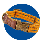 Buy Dog Collars Leashes and Harnesses in Uganda