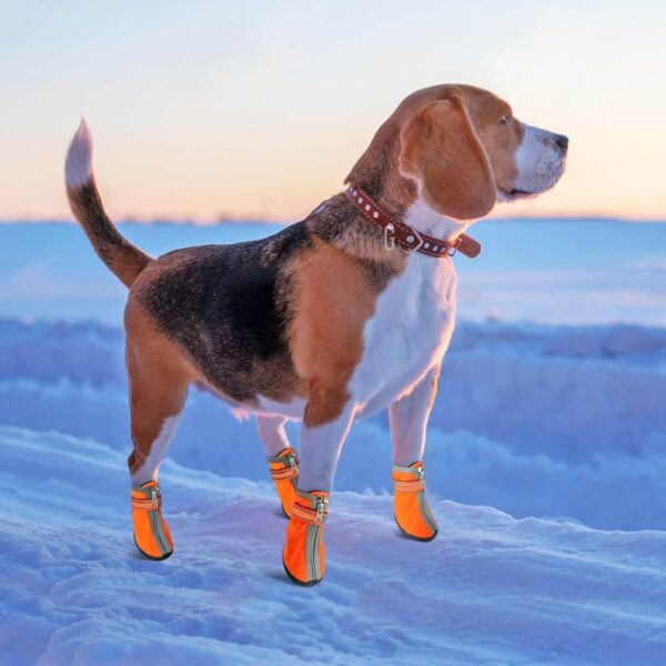 Buy Waterproof Anti-slip Reflective Pet Rain Boots Dog Shoes in Uganda
