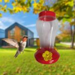 Best Hummingbird Bird Nectar Feeder Drinker in Kampala Uganda on Petsasa