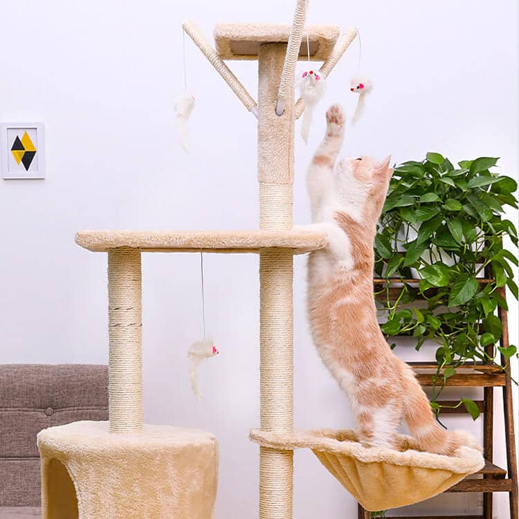 Beautiful Petsasa Hansi Cat Tree Condo with Toys, Hammock & Ladder
