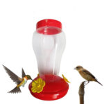 Buy Hummingbird Bird Nectar Feeder Drinker