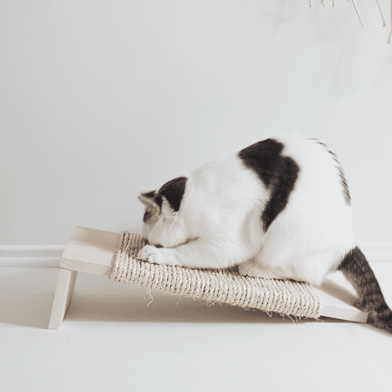 Petsasa-Purffect-cat-scratcher-cat-scratch-plank-board