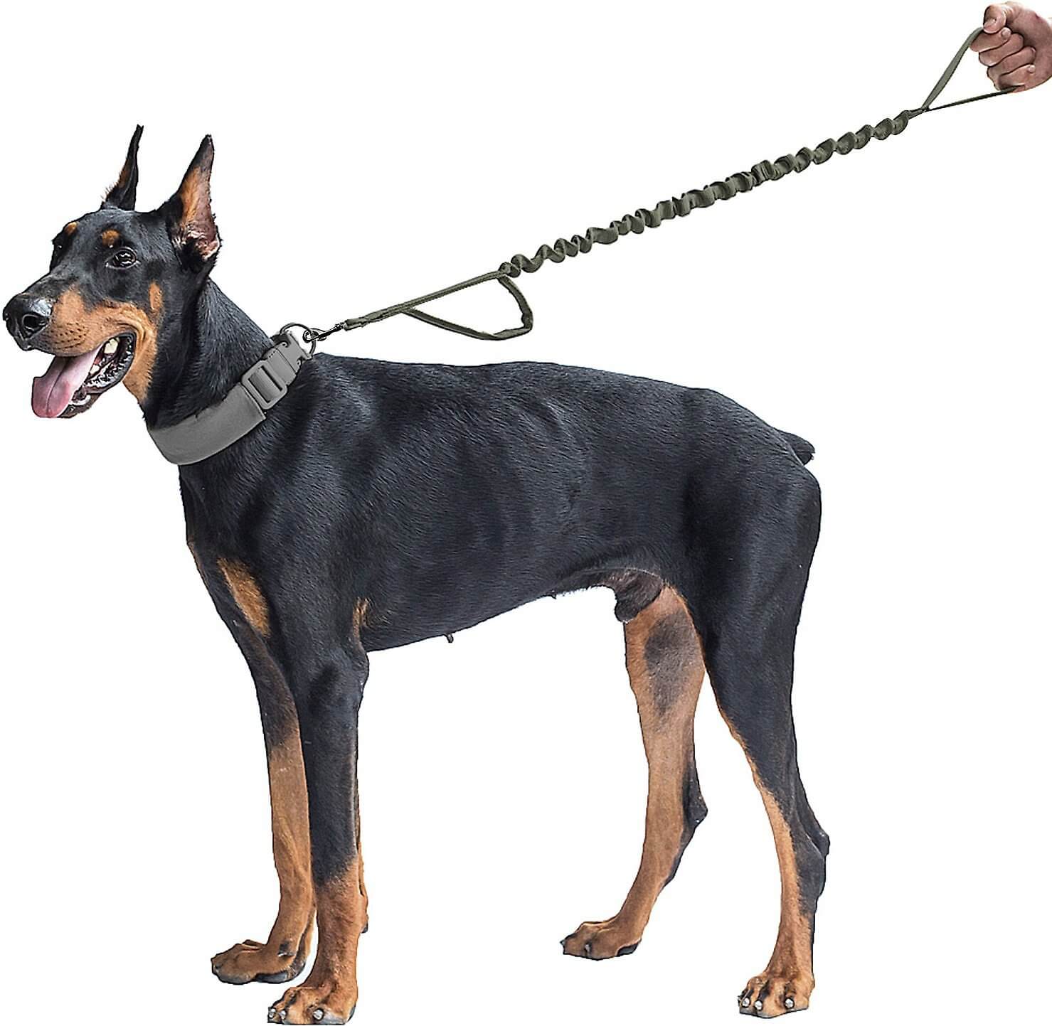 Military Training Bungee Elastic Dog Leash