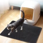 Buy Best Cat litter mat in Uganda on Petsasa