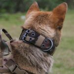 Military Tactical Dog Collar for K9 Big Dog on Petsasa Uganda