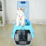 Best Airline Pet Carrier Dog Kennel Cat Dog Carrier in Uganda on Petsasa Petstore Uganda