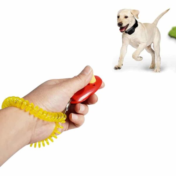 Buy Pet Simple Dog Training Clicker Training Tool Online in Uganda on Petsasa Pet Store in Kampala