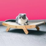 Buy Cat Lounge Bed in Uganda on Petsasa Petstore