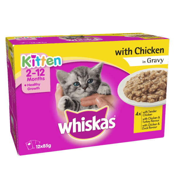 Buy Whiskas Kitten Wet Food, Tender chicken in Gravy, 12 Pouches in Uganda on Petsasa Pet store