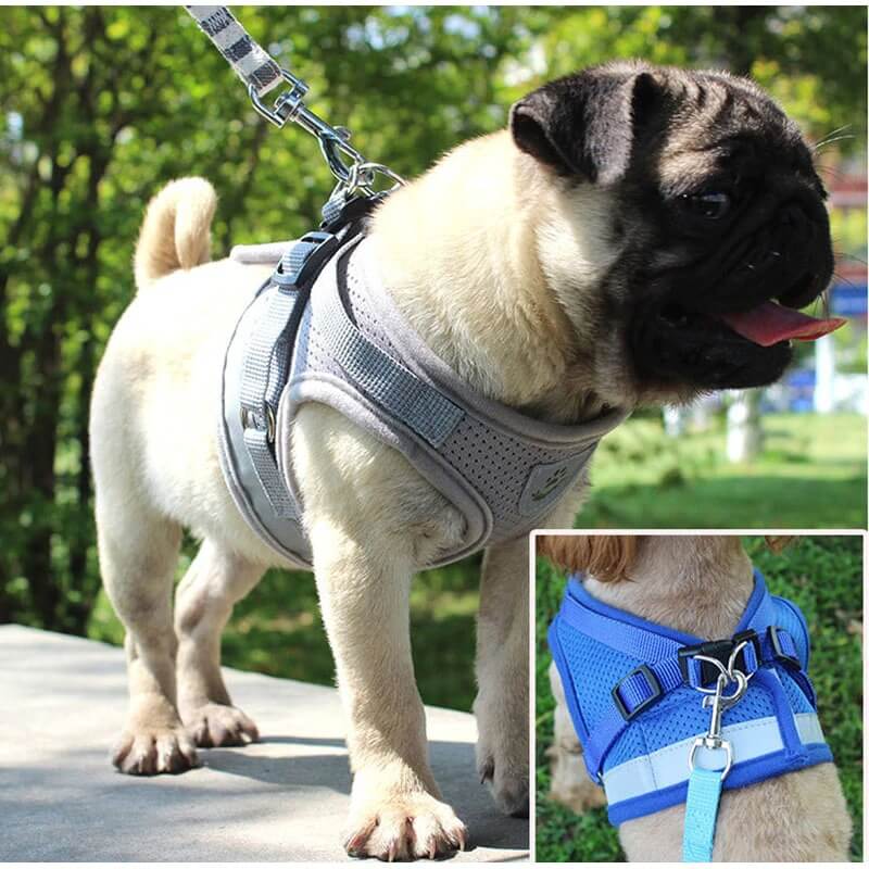 Buy Step-in Vest Dog Harness and Leash Set in Kampala Pet centre