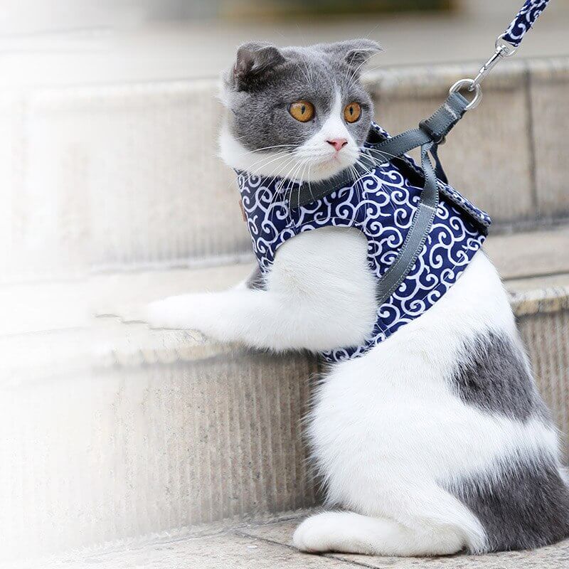 Cat Walking Japanese Style Cat Vest Harness for Cats and Small Dogs