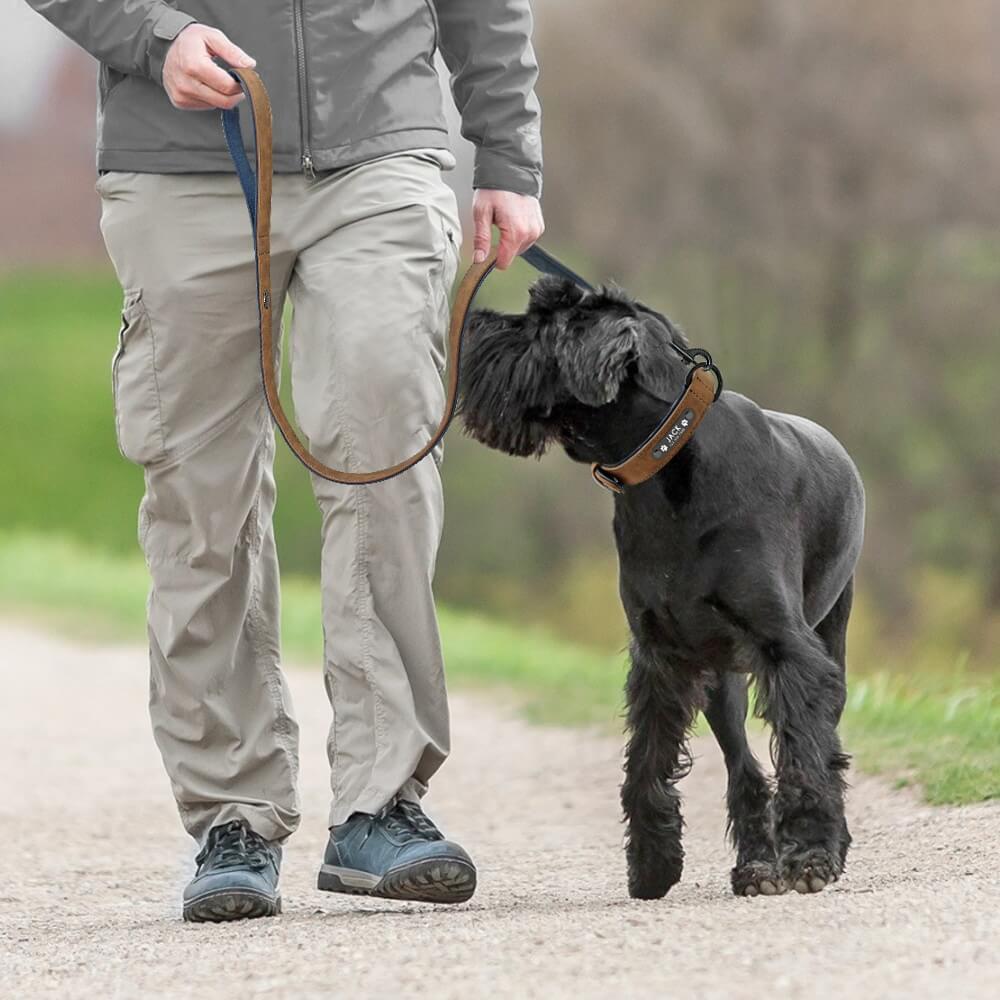Custom Petsasa Dog Walking Leash ad Collar for VIP Gentlemen