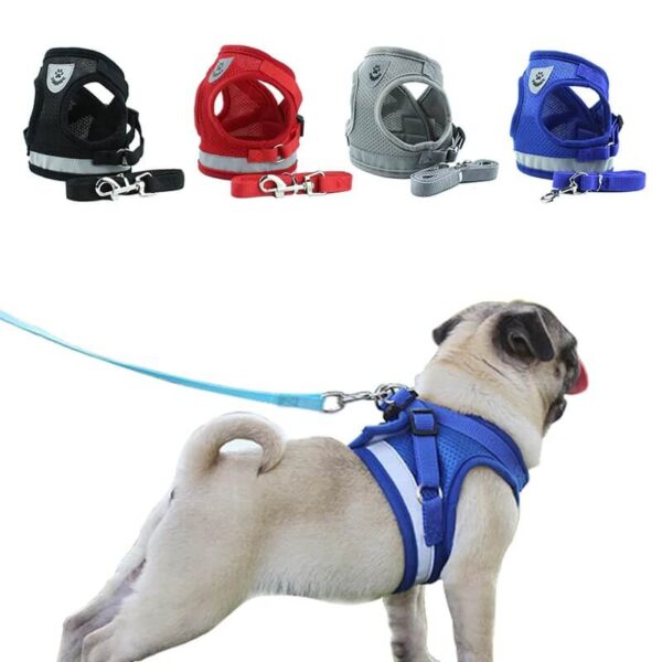 Buy Step-in Vest Dog Harness and Leash Set in Uganda for The Royal Pets