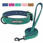 Buy Petsasa VIP Personalized Dog Collar, Leash and ID Tag Set in Uganda