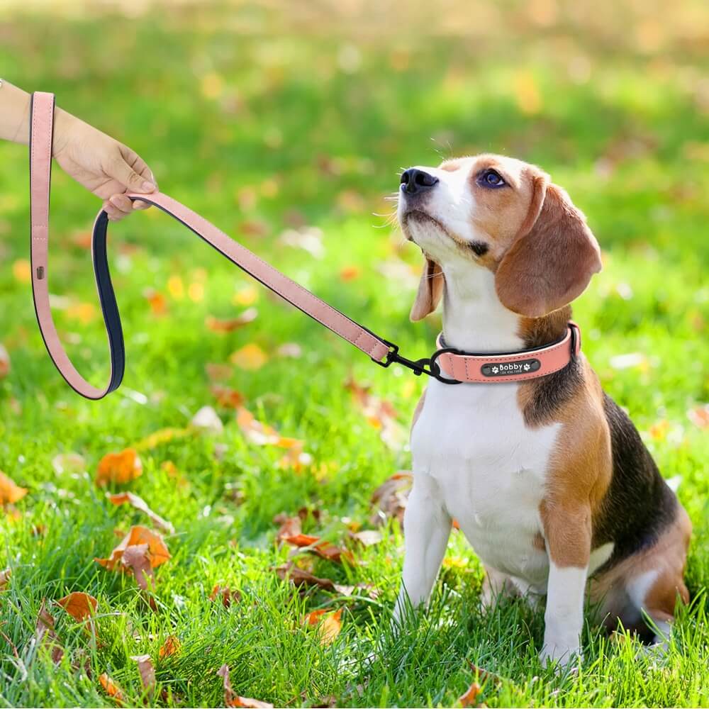 Custom Petsasa Dog Walking Leash ad Collar for VIP Ladies