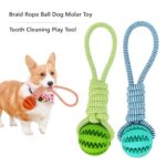 Chew Fetch Dog Toys in Uganda from Petsasa Pet House Uganda Braid Rope Dog Toy with Treat Ball