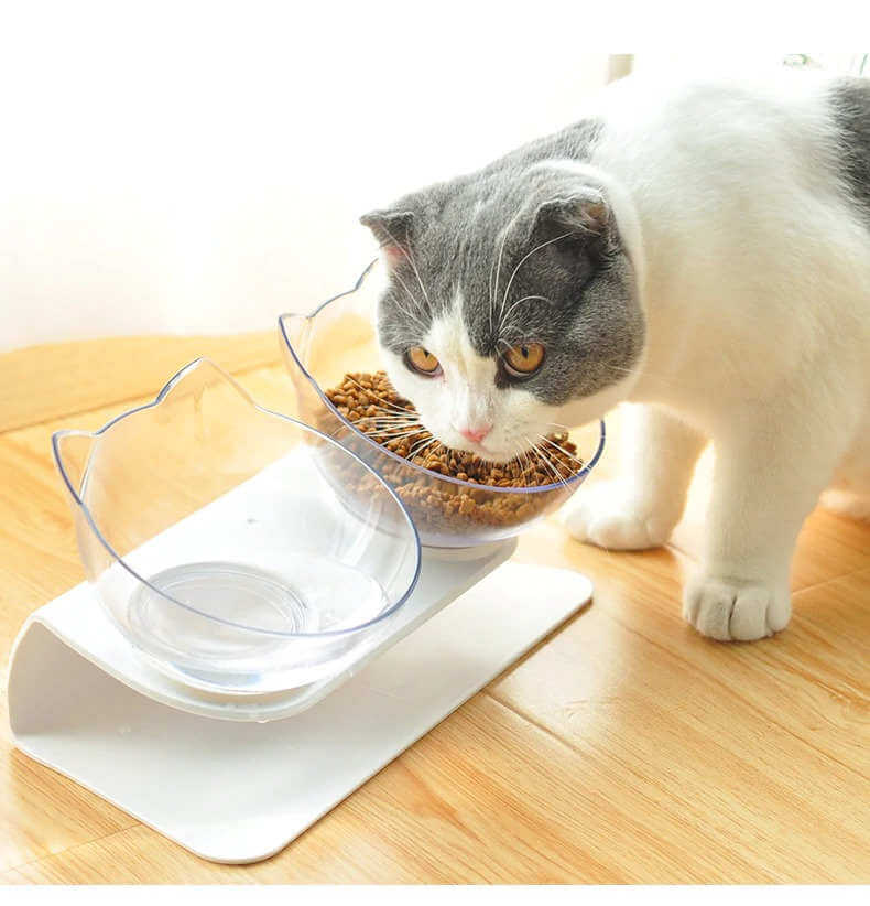 Best Raised Cat Bowl Plate in Uganda KittyPro Elevated Cat Food Bowl Double Diner