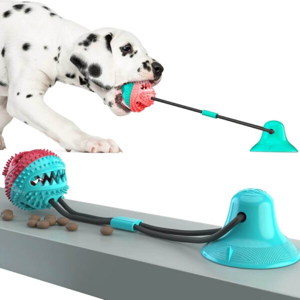 Buy Interactive Suction Cup Tug Dog Toy with Treat Ball in Uganda