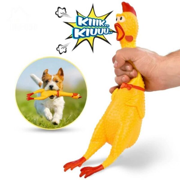 Buy Screaming Chicken Squeaky Funny Dog Toy in Pet store kenya petsasa