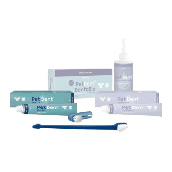 Buy PetDent Oral Gel - Teeth cleaning for cats and dogs in Uganda