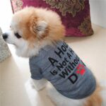 Buy Grey A House is Not Home Without A Dog Summer Dog T-Shirt in Uganda for Small, Medium and large dogs