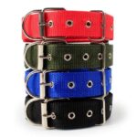 Heavy Duty Adjustable Dog Collar