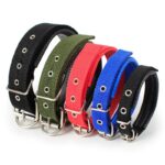 Heavy Duty Adjustable Dog Collar