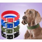 Heavy Duty Adjustable Dog Collar